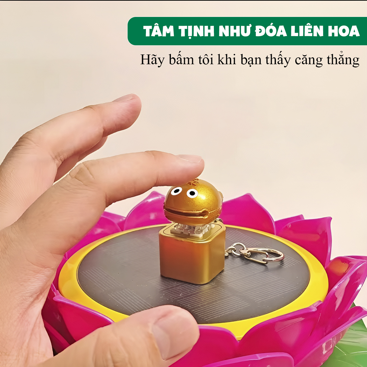 1719503852756_9y6i6d_2_1 copy